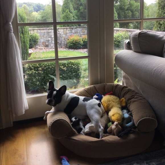 Meet your Posher, Dani ๐พ - Picture 14 of 16